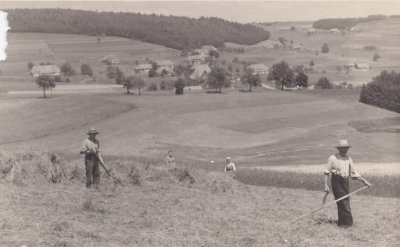 Heuernte Altenschwand ca. 1938